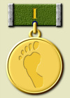 Медаль «За след в истории» I-й степени